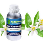 Neroli Oil 3% in Jojoba 500ml