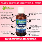 Rose Otto 3% in Jojoba