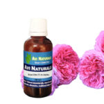 Rose Otto 3% in Jojoba 50ml