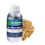 Vetiver Oil 3% in Jojoba 500ml