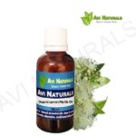 Organic Lemon Myrtle Oil 50ml