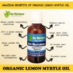 Uses and benefits of organic lemon myrtle oil