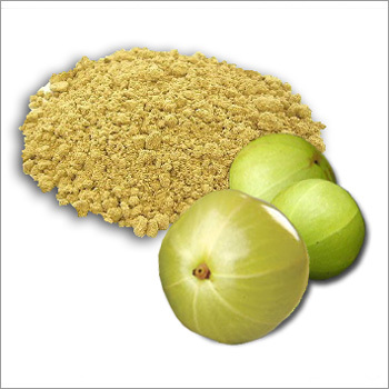 amla powder Suppliers