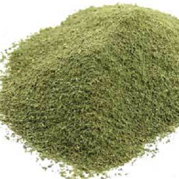 curry leaves powder Suppliers