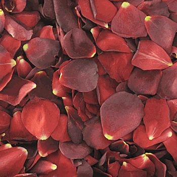 dried rose petals Suppliers