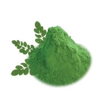 moringa leaves powder Suppliers