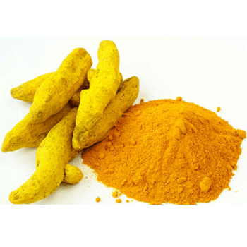 turmeric powder Suppliers