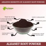Alkanet Root Powder