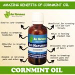Cornmint Oil 50ml
