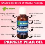 Prickly Pear Oil 50ml