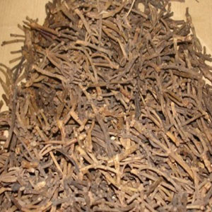 clove stem oil Suppliers