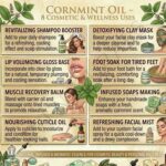 Commercial use cornmint oil