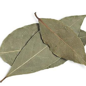 dried bay leaves Suppliers