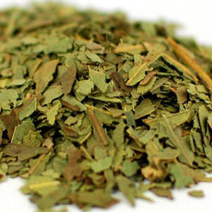 eucalyptus-dried-leaves suppliers