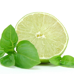 lemon basil oil Suppliers