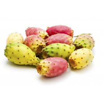 prickly pear seed oil Suppliers