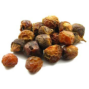 soapnuts Suppliers