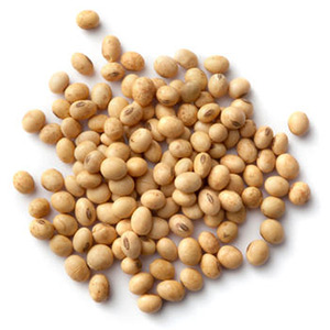 soy bean oil Suppliers