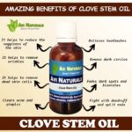 Uses benefits of clove stem oil