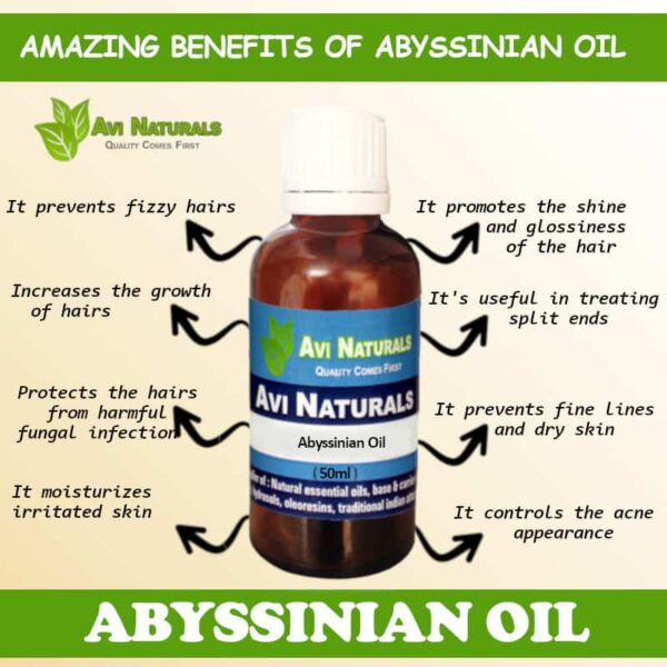 uses and benefits of abyssinian Oil