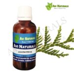 Arborvitae Wild Oil 50ml
