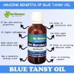 Blue Tansy Oil 50ml