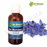 Blue Tansy Oil 50ml