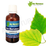 Sweet Birch Oil 50ml