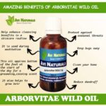 Uses and benefits of arborvitae oil
