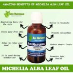 Uses and benefits of michelia alba leaf oil