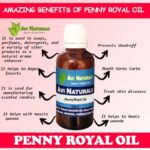 Uses and benefits of penny royal oil