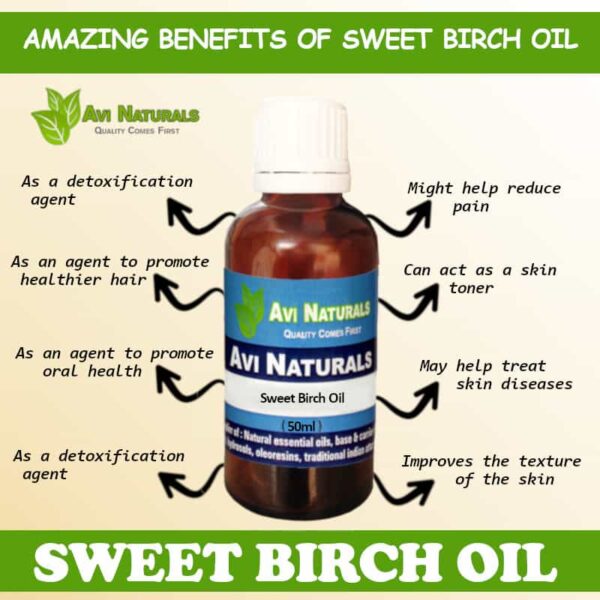 Sweet Birch Oil 100% Natural Pure Essential Oil – Shoprythm