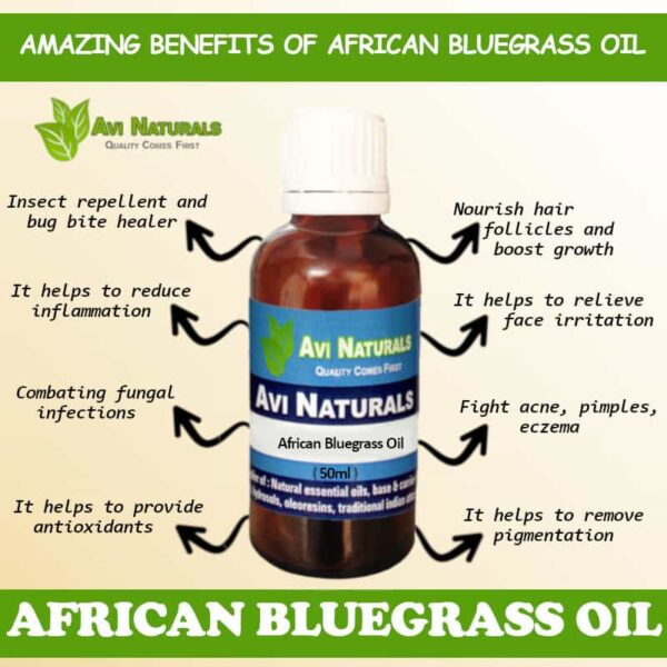 uses and benefits of african bluegrass oil