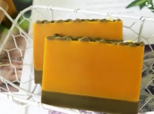 ORGANICPUMPKINSEEDOILSOA