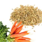 Organic carrot seed oil