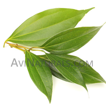 organic cinnamon leaf oil Suppliers