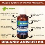 Uses and benefits of organic aniseed oil