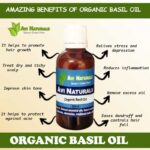 Uses and benefits of organic basil oil
