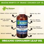 Uses and benefits of organic cinnamon leaf oil