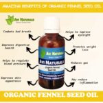 Uses and benefits of organic fennel seed oil