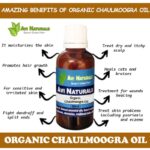 Uses benefits of chaulmoogra oil