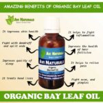 Uses benefits of organic bay leaf oil