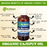 Uses benefits of organic cajeput oil