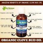 Uses benefits of organic clove bud oil