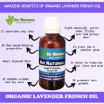 Uses benefits of organic lavender french oil