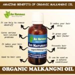 Uses benefits of organic malkangni oil