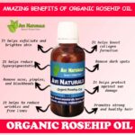 Uses benefits of organic rosehip oil