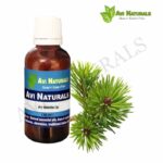 Fir Needle Essential Oil 50ml