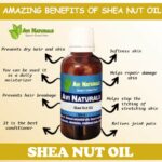 Shea Nut Oil 50ml