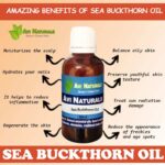 Uses benefits of sea buckthorn oil